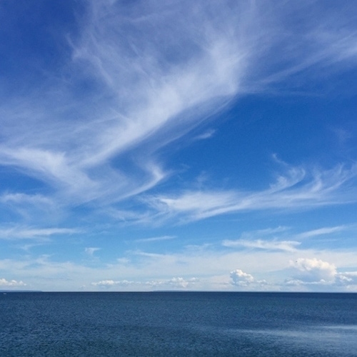Mares Tails by Rachael Newman