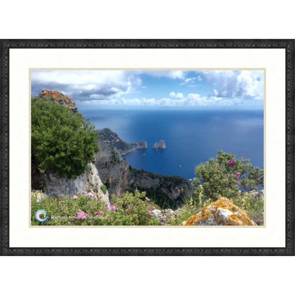 Ana Capri by Rachael Newman Blk Frame
