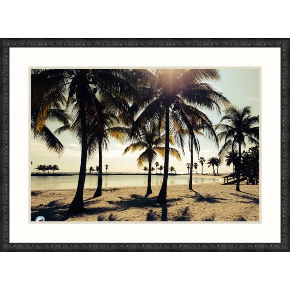 Palm Shadows by Rachael Newman Blk Frame
