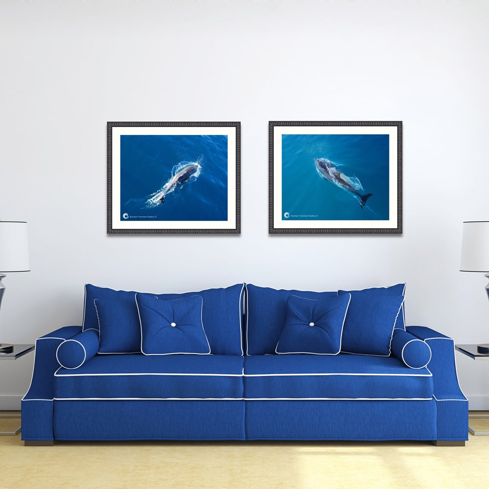 Speed Blue Couch