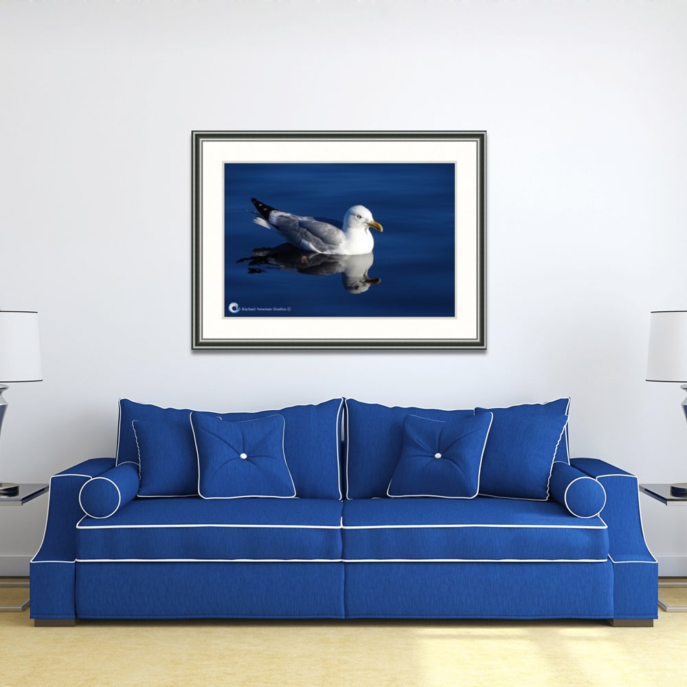 Superior Gull by Rachael Newman Blue Couch