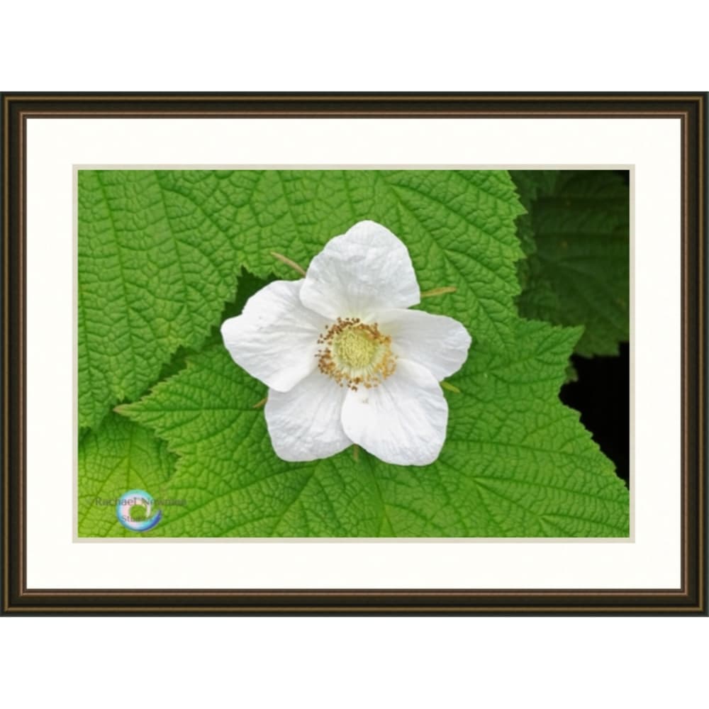 Thimble Berry by Rachael Newman Copper Frame
