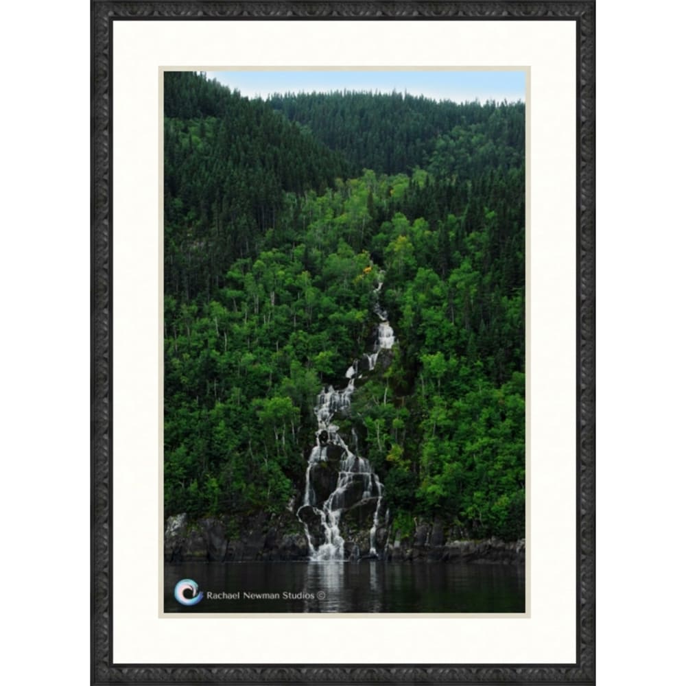 Woodland Cascade by Rachael Newman Blk Frame